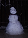 il pupazzo di neve 6 gennaio 2009 003